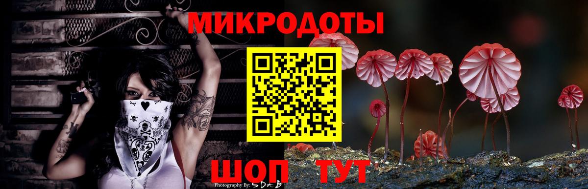 Казань  Галлюциногенные грибы прущие грибы  Вход с VPN 
